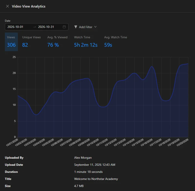 Video view analytics for one month: 306 views, 82 unique views, 76 percent viewed on average, watch time and a chart of daily views.