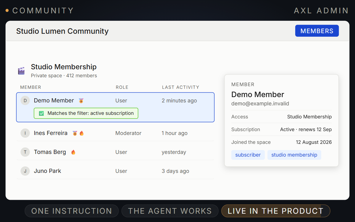 AXL community member record matched by an active-subscription filter, showing access, subscription, join date and tags.