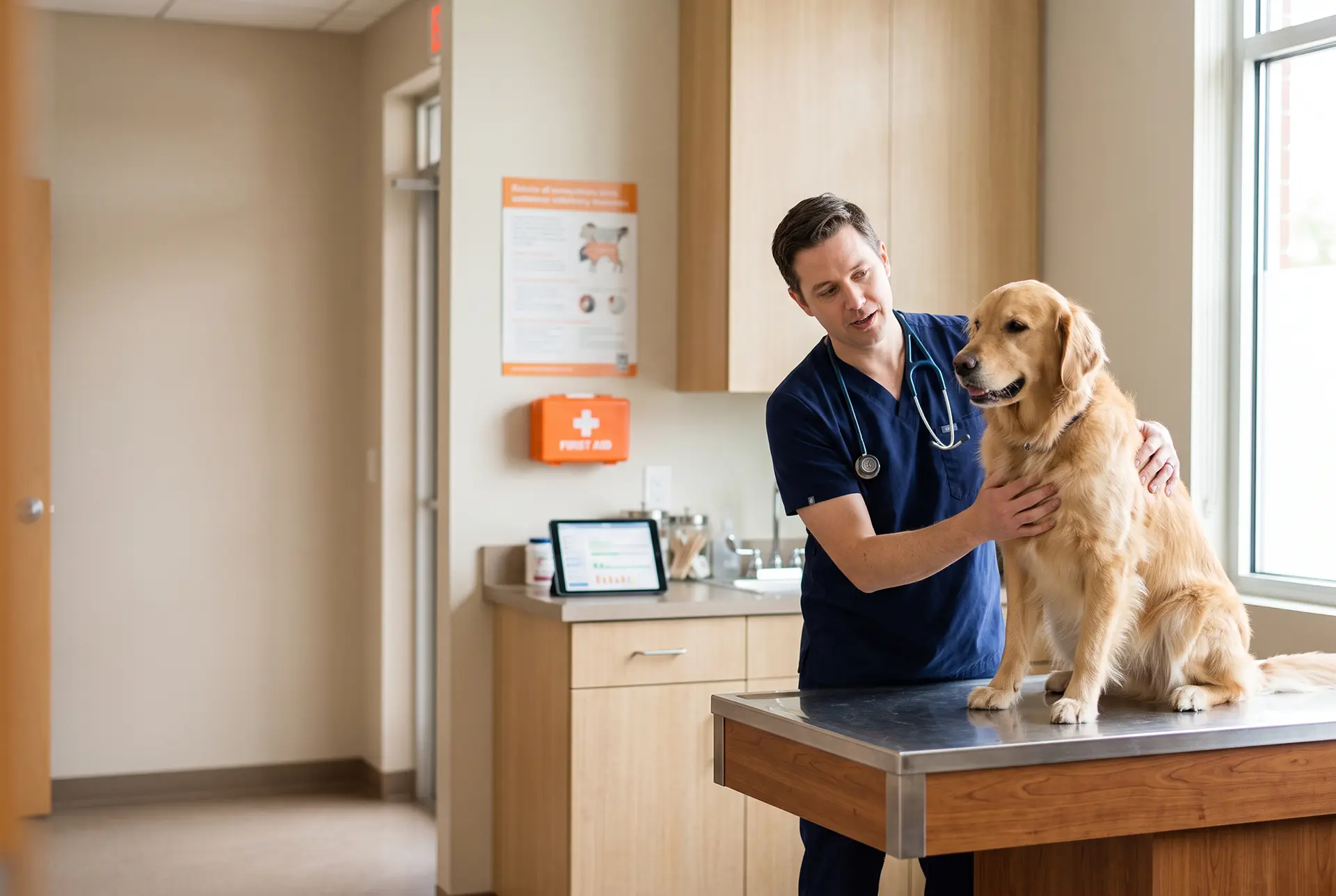 A veterinarian examining a dog in a clinic exam room with a tablet nearby