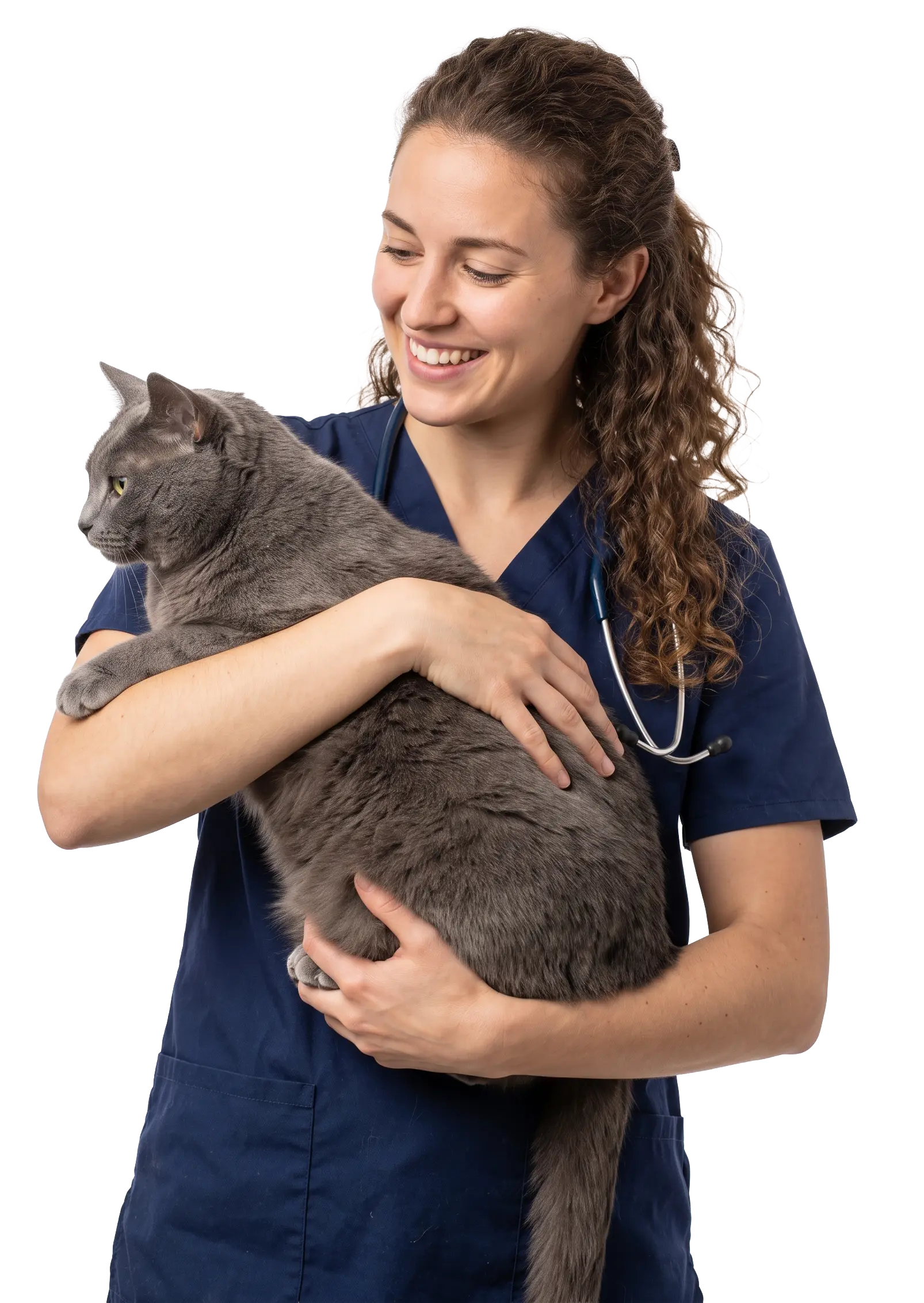 Veterinarian in navy scrubs smiling while holding a grey cat during an exam