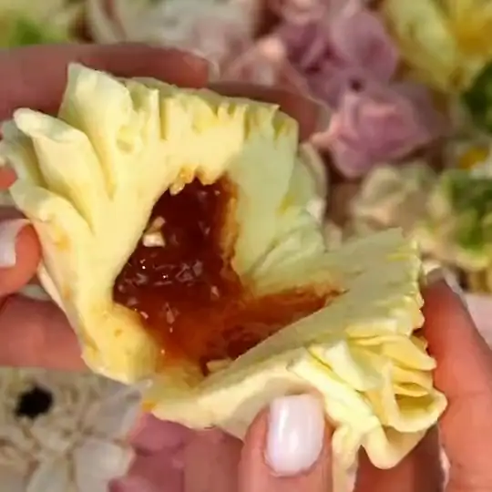 An open flower showing its soft fruit-jam center