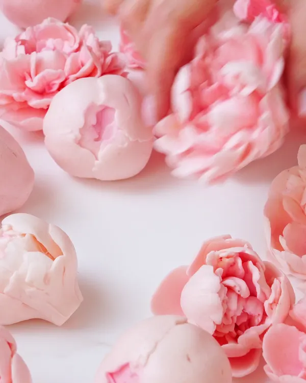 Pink edible peonies