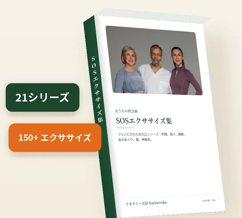 SOSエクササイズ集、PDFブック