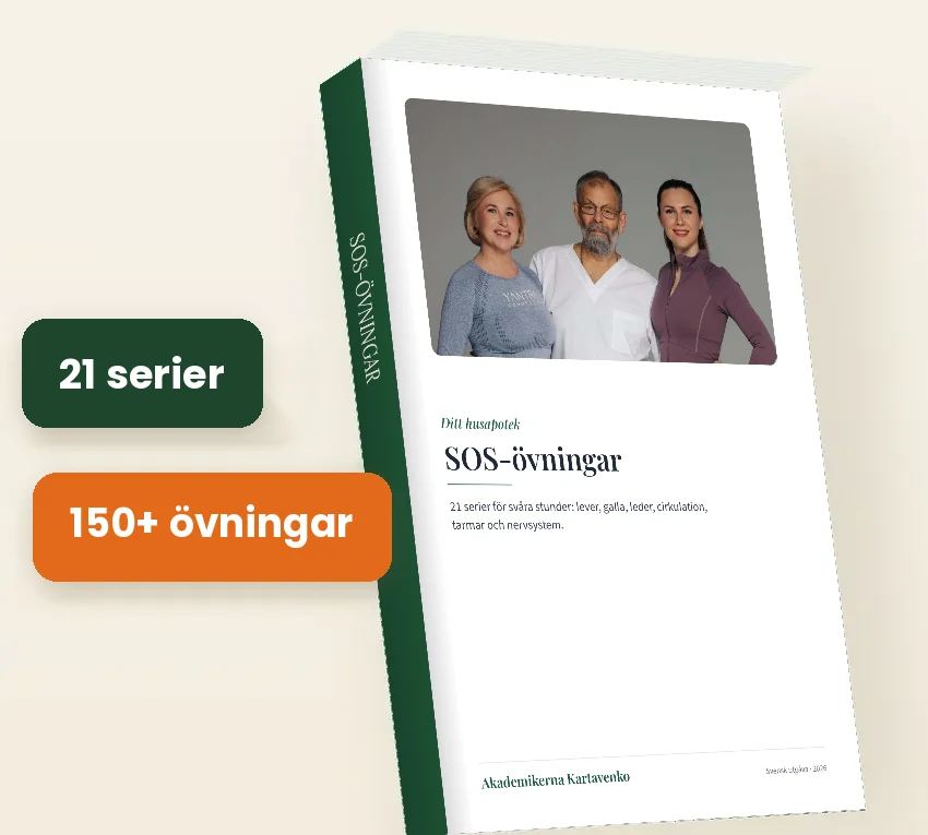 SOS-övningar, PDF-bok