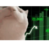 Как через P&L управлять маржинальностью?
